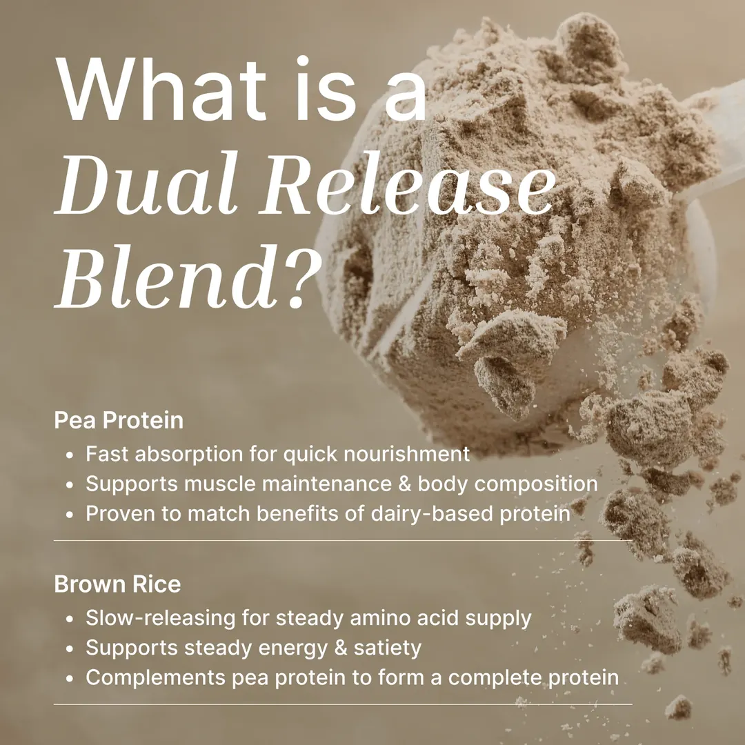 Vegan Protein Powder | Organic Cacao - 500G - Image 7