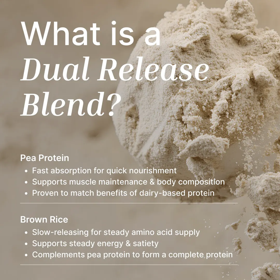 Vegan Protein Powder | Organic Madagascan Vanilla - 500G - Image 7